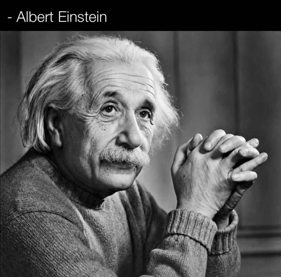使用者提供的 Albert Einstein 原始照片